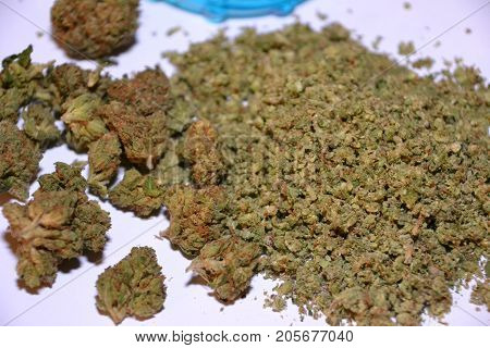a grinder used to coarsely grind buds for medical cannabis