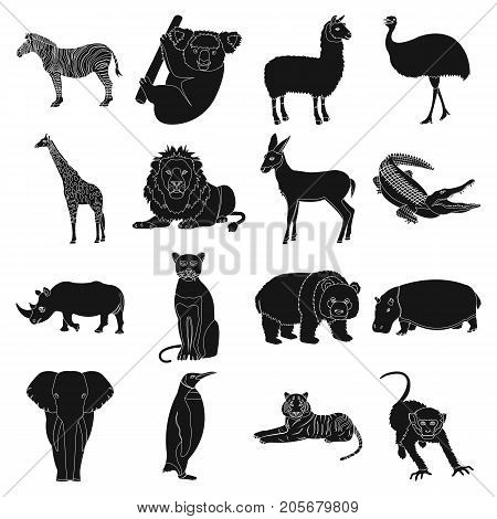Ostrich emu, crocodile, giraffe, tiger, penguin and other wild animals. Artiodactyla, mammalian predators and animals set collection icons in black style vector symbol stock illustration .