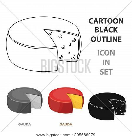 Gauda.Different kinds of cheese single icon in cartoon style vector symbol stock illustration .