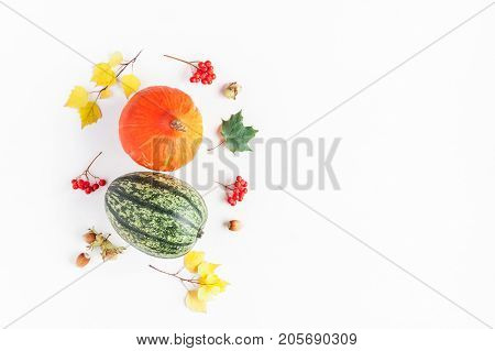 Autumn composition made of pumpkins maple tree leaves hazelnuts on white background. Autumn fall thanksgiving concept. Flat lay top view copy space