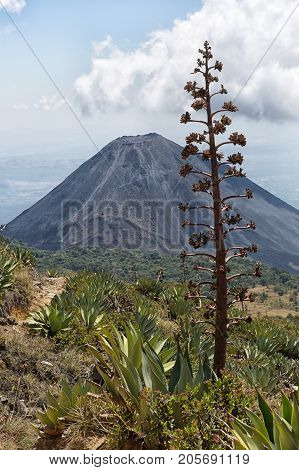 view of Izalco volcano from the Santa Ana volcano in Cerro Verde national park El Salvador