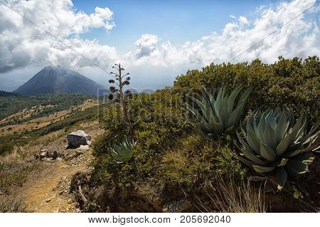 view of Izalco volcano from the Santa Ana volcano in Cerro Verde national park El Salvador