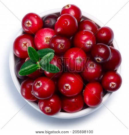 Bowl Of Cranberries, Top View, Paths