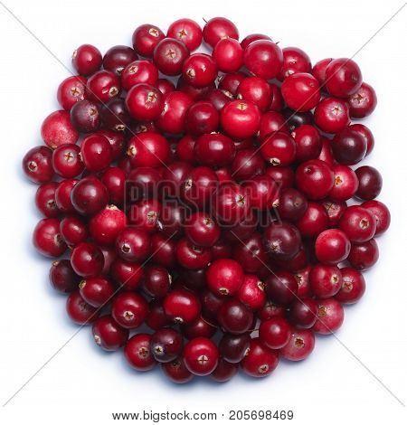 Heap Of Cranberries, Top View, Paths