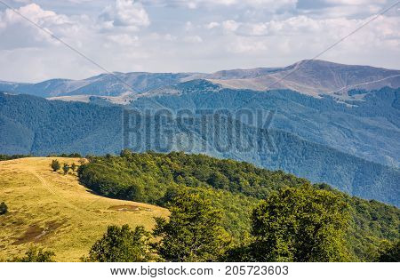 Alpine Grassy Meadow In Autumnal Carpathians