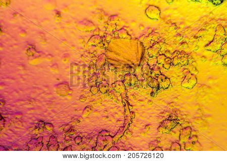 microscopic shot showing colorful microcrystals in polarised light