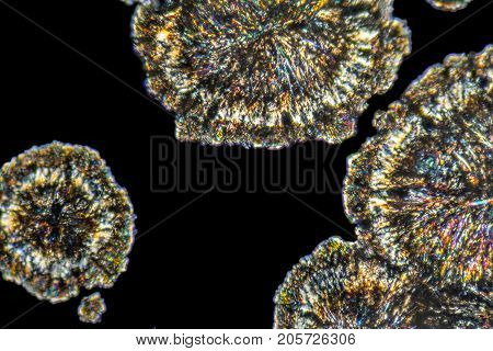 microscopic Loperamide crystals illuminated with polarized light
