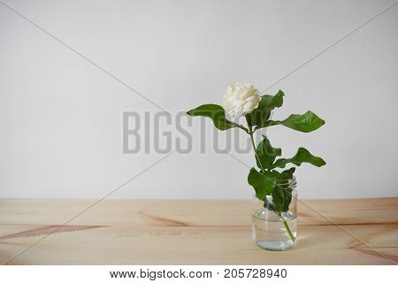 White flowers in a glass vase on a brown wood table Jasminum sambac in scientific name and space for text. - Tropical Asia flower.