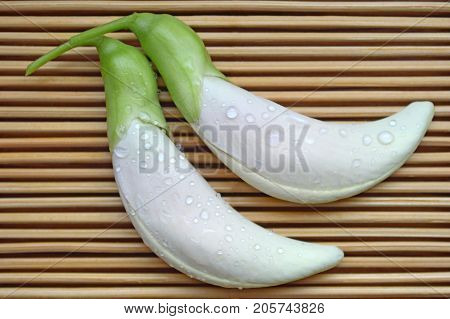 Vegetable hummingbird, Sesbania grandiflora, Central of Thailand