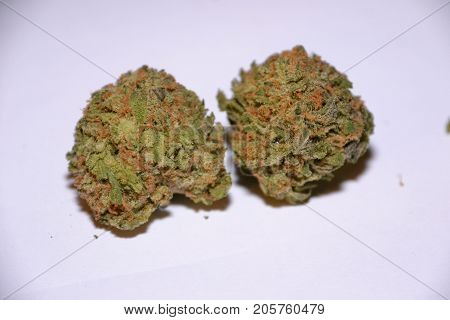 gelato is a hybrid medical marijuana strain