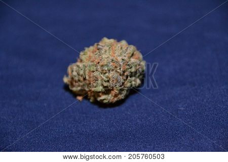 gelato is a hybrid medical marijuana strain