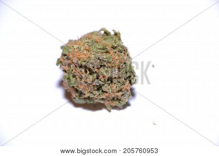 gelato is a hybrid medical marijuana strain