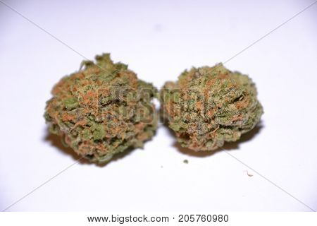 gelato is a hybrid medical marijuana strain