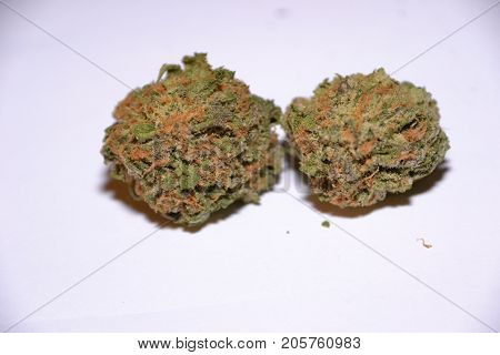 gelato is a hybrid medical marijuana strain