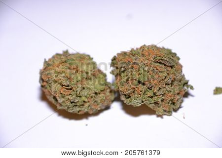 gelato is a hybrid medical marijuana strain
