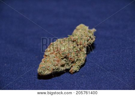 premium jack (cannabis cup award winner) is a sativa marijuana strain used for medical reasons