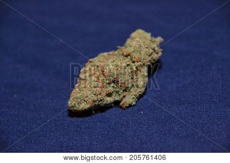 premium jack (cannabis cup award winner) is a sativa marijuana strain used for medical reasons