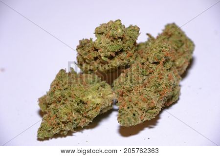 premium jack (cannabis cup award winner) is a sativa marijuana strain used for medical reasons