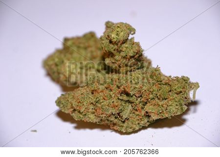 premium jack (cannabis cup award winner) is a sativa marijuana strain used for medical reasons