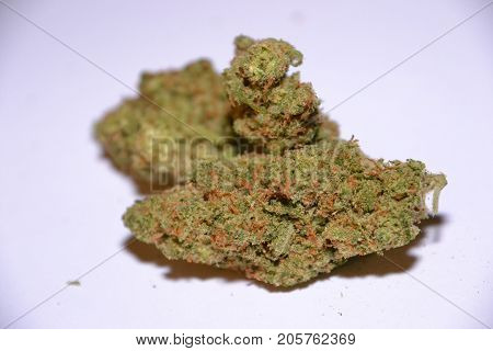 premium jack (cannabis cup award winner) is a sativa marijuana strain used for medical reasons