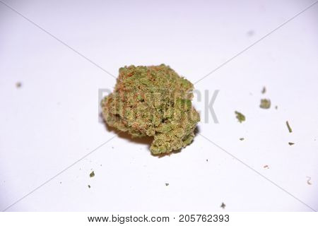 premium jack (cannabis cup award winner) is a sativa marijuana strain used for medical reasons