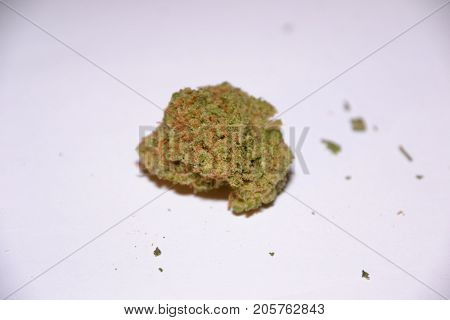 premium jack (cannabis cup award winner) is a sativa marijuana strain used for medical reasons