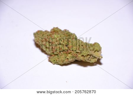 premium jack (cannabis cup award winner) is a sativa marijuana strain used for medical reasons
