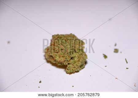 premium jack (cannabis cup award winner) is a sativa marijuana strain used for medical reasons