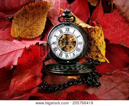 beautiful open pocket watch lie on the autumn red leaves