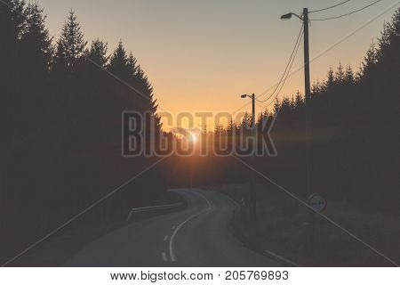 Empty lonesome suburb countryside road with woods silhouettes.