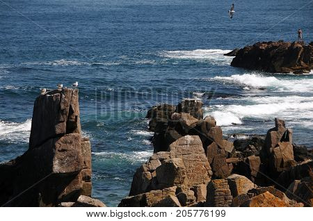 Rocks seagulls and fisherman near the town of Sozopol in Bulgaria