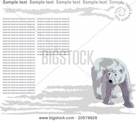 Örnek - Bear