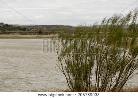 The River Ebro On Its Way Through Caspe, Aragon