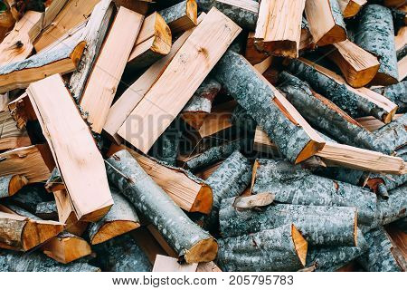 Pile Of Firewood Prepared For Winter Season In The Forest.