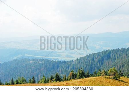 Mountain Landscape In Carpathian