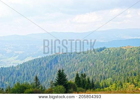 Mountain Landscape In Carpathian