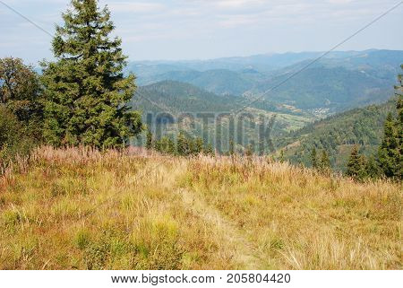 Mountain Landscape In Carpathian