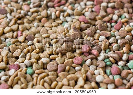 Dry pet food background - a lot of pieces of food in flat position.
