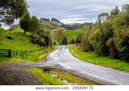 beautiful forest, countryside, road in rural area