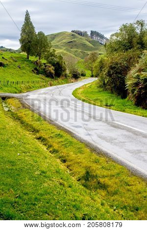 beautiful forest, countryside, road in rural area