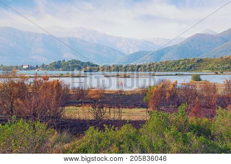 View of special botanical and animal reserve Solila (home to rare bird species) on a sunny autumn day. Tivat, Montenegro