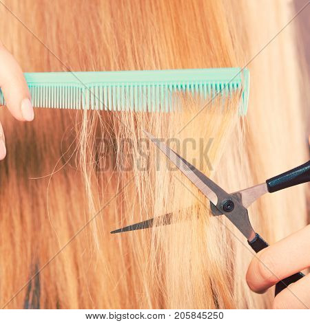 Woman Cutting Down Smoothy Hair.