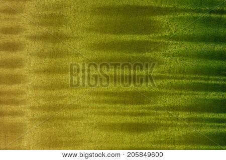 Finished wood surface with beautiful figured grain.Wood has tiger stripe or curly stripe grain. colored with translucent yellow and green dye and lacquer top coat.