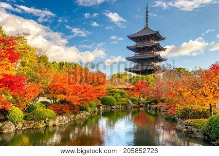 Kyoto, Japan at Toji Pagoda in Autumn.