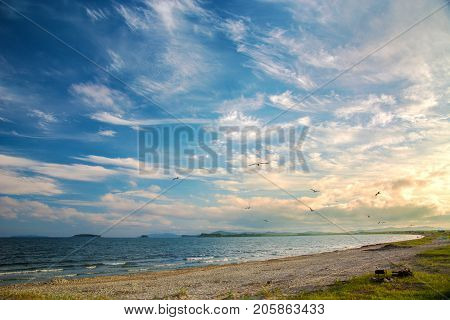 a beach on the sea, sand and waves, seagulls fly over the water. Sunset