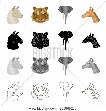 Wild animal llama, tiger, elephant, giraffe.Realistic animal set collection icons in cartoon black monochrome outline style vector symbol stock illustration .