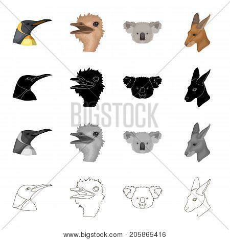 Wild animal bird, penguin, ostrich, emu, koala, kangaroo, . Realistic animal set collection icons in cartoon black monochrome outline style vector symbol stock illustration .