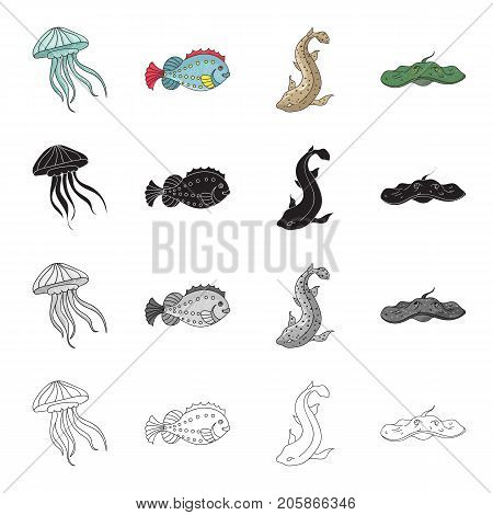 Medusa, deep sea fish, tiger shark, electric stingray.Sea animal set collection icons in cartoon black monochrome outline style vector symbol stock illustration .
