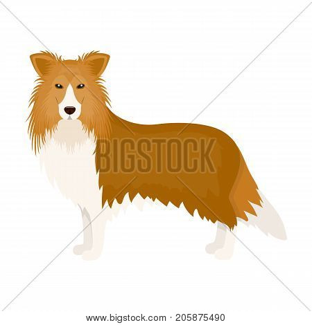 Laika single icon in cartoon style.Laika, vector symbol stock illustration .