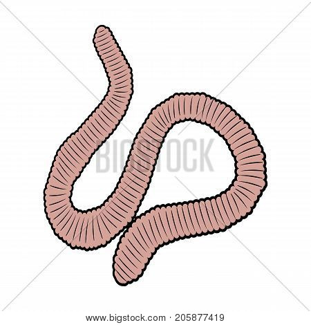 A worm, a boneless animal. Earthworm single icon in cartoon style vector symbol stock isometric illustration .